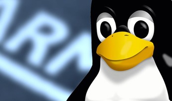 Embedded Linux on ARM Embedded Linux on ARM