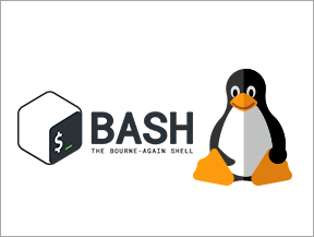 embedded interview questions and answers - Linux BASH Shell Scripting