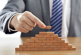 Well Established in Embedded Systems Domain – 20 Corporate Customers